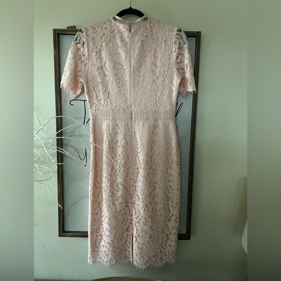 Rachel Parcell midi lace dress - Picture 8 of 8